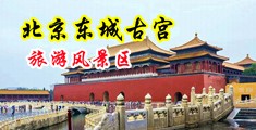 20厘米大鸡巴疯狂抽查视频中国北京-东城古宫旅游风景区